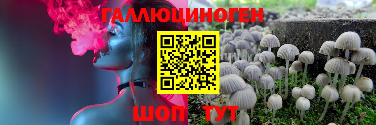 Гусиноозёрск  Галлюциногенные грибы мухоморы  Вход с VPN 